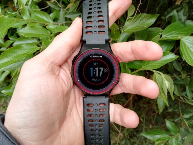 Garmin 225 clearance review